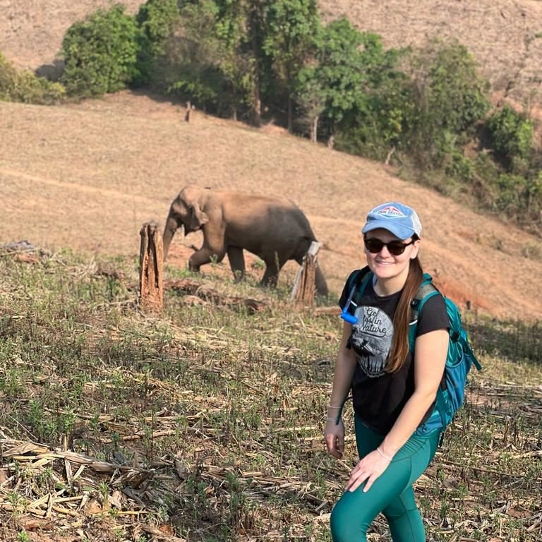  Kindred Spirit Elephant Sanctuary