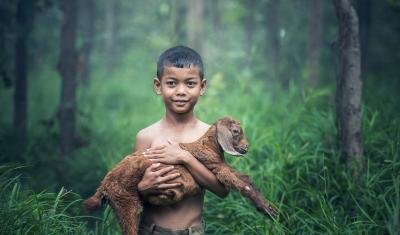 5 conseils pour des vacances nature et respectueuses du climat