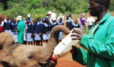 An Inside look at different types of volunteer work