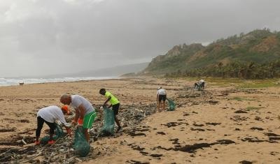 Successful Volunteer Abroad Experience