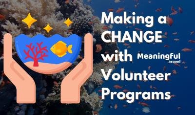 Marine Conservation Volunteer Programs by Meaningful Travel