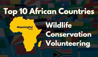 top 10 countries for wildlife conservation volunteering