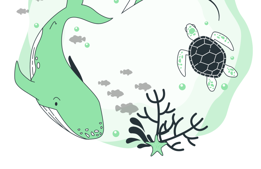 Marine Conservation Importance