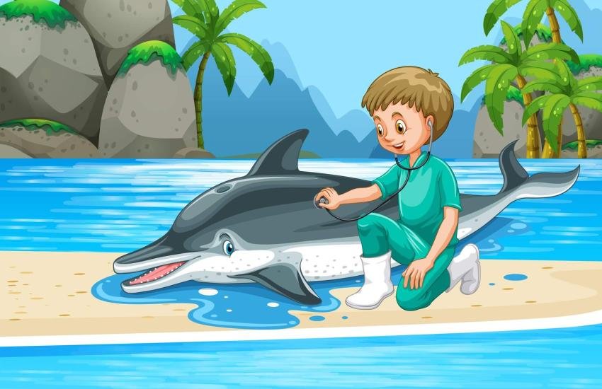 Marine Megafauna Conservation