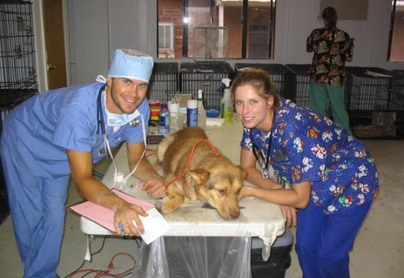 Volunteer for Wildlife in Ghana - OGVO Ghana