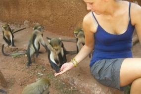 Volunteer for Wildlife in Ghana - OGVO Ghana