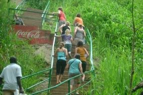 Volunteer for Wildlife in Ghana - OGVO Ghana