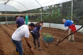 Volunteers working on the farm