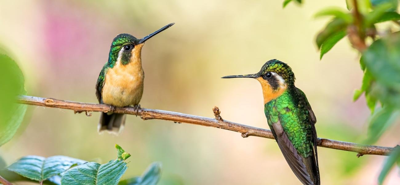 Inspiring positive differences everywhere through meaningful travel experiences.