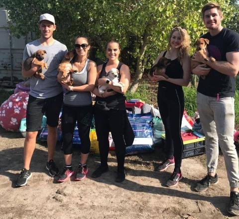 Animal Rescue &amp; Rehabilitation Volunteering Program - South Africa