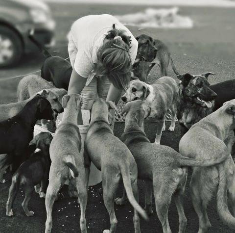 Animal Rescue Mission: Embracing Care and Compassion - Italy