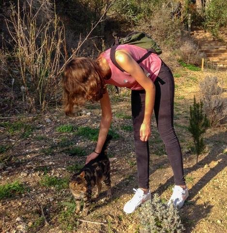 Animal Care Program - Portugal