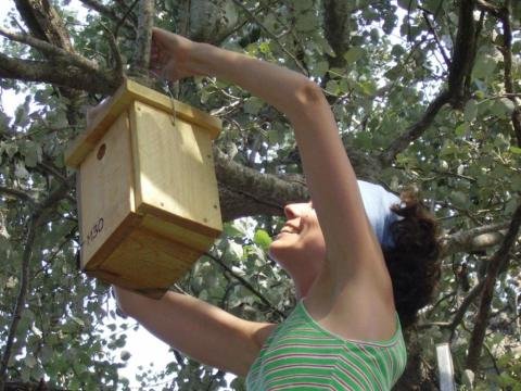 Environmental Conservation Project - Spain