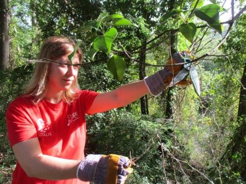 CLIMATE ACTION SUMMER CAMP PROJECT - Italy