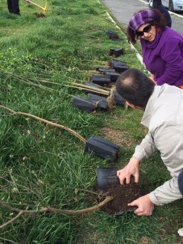 Climate Action Project - Italy