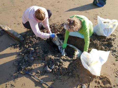 Spanish Beach Cleanup Program