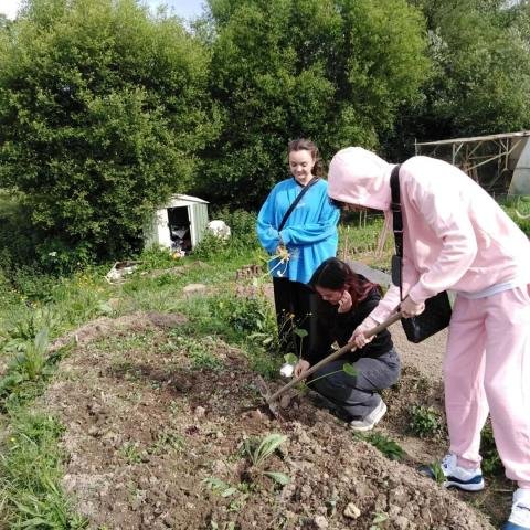 Social and environmental entrepreneurship Programs - Spain