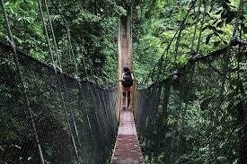 Learning Spanish Program - Costa Rica