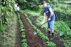 Organic Farm Program - Costa Rica