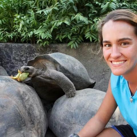 Sea Turtle Conservation Volunteer Program - Ecuador