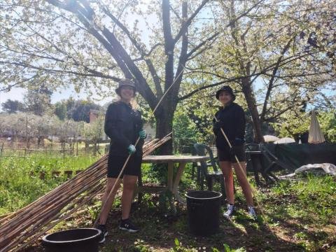 Sustainable Farming &amp; Social Innovation - Italy
