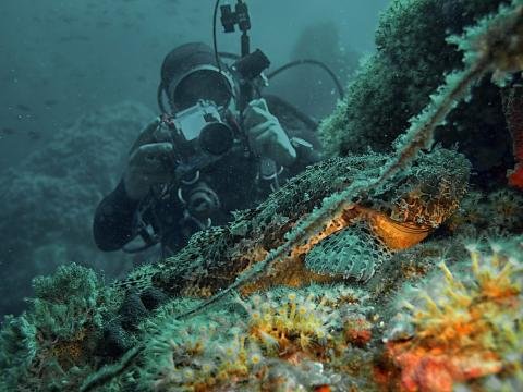 Marine Conservation Program - Croatia