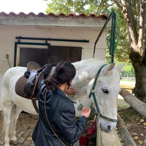 Portugal's Conservation Project: Horse Patrols &amp; Environmental Protection