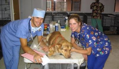 Volunteer for Wildlife in Ghana OGVO Ghana