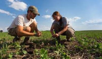  Volunteering Tourism 