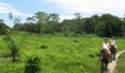 first hand costa rica 