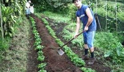 first hand costa rica