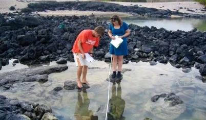 Ecotourism Management Volunteer Program