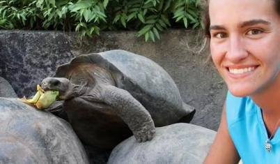 Sea Turtle Conservation Volunteer Program 