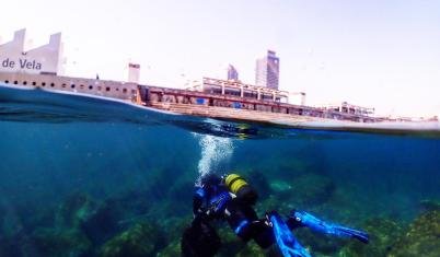 Impactrip - Marine Conservation