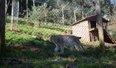 Wildlife Program Impactrip