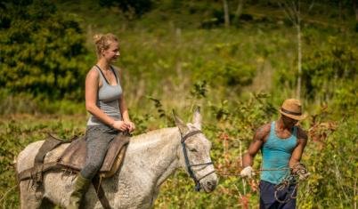 Equine & Wildlife Programme - South Africa