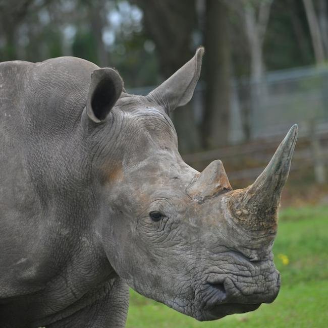 Volunteer in South Africa