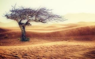 Unmasking the Perils: Exploring the Main Threats to Wildlife