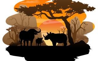 Exploring Wildlife Conservation in Africa A Journey of Conservation and Adventure