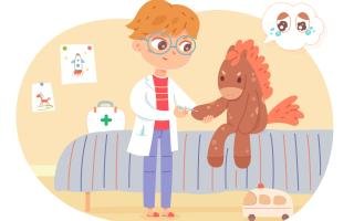 Indispensable Role of Volunteers in Wildlife Conservation Education