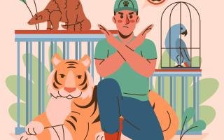 Volunteering in Wildlife Conservation Captive vs. Wild Settings 