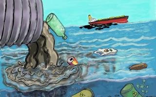 Different Kinds of Marine Ecosystems