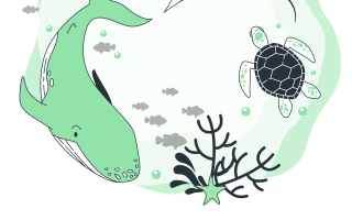 Marine Conservation Importance