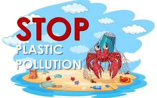 ackling Plastic Pollution Innovative Solutions and Volunteer Initiatives