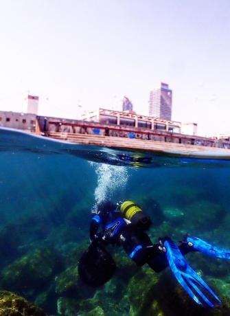 Impactrip - Marine Conservation