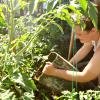 A volunteer working on the farm
