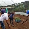 Volunteers working on the farm