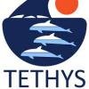 Profile picture for user TethysResearchInstitute