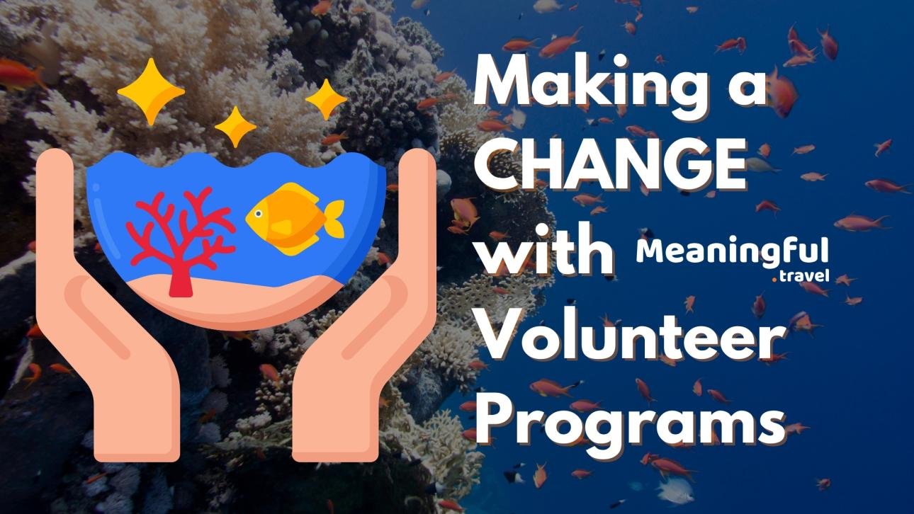 Marine Conservation Volunteer Programs by Meaningful Travel